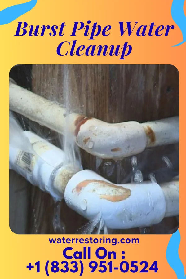 Burst Pipe Water Cleanup in Lost Lake Woods, MI