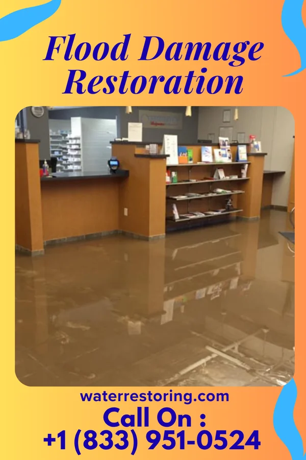 Flood Damage Restoration in Lost Lake Woods, MI