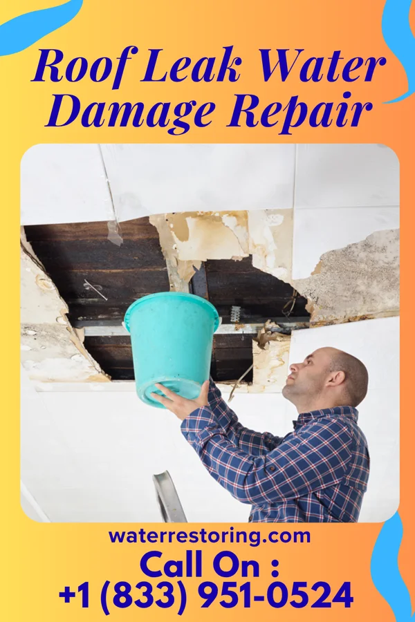 Roof Leak Water Damage Repair in Lost Lake Woods, MI